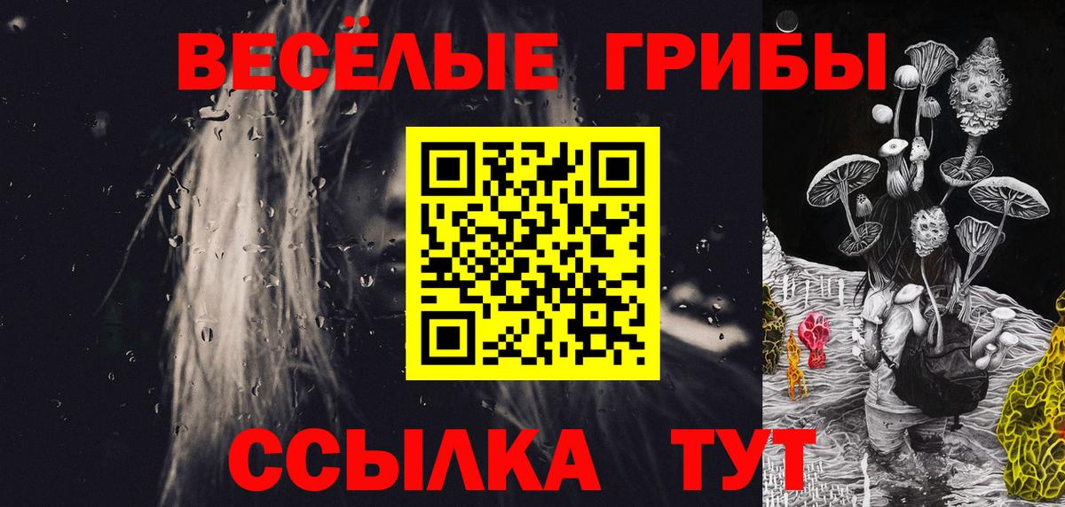 Бошки Шишки Электрогорск