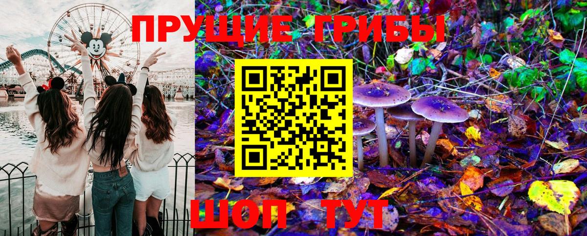 Галлюциногенные грибы GOLDEN TEACHER Электрогорск